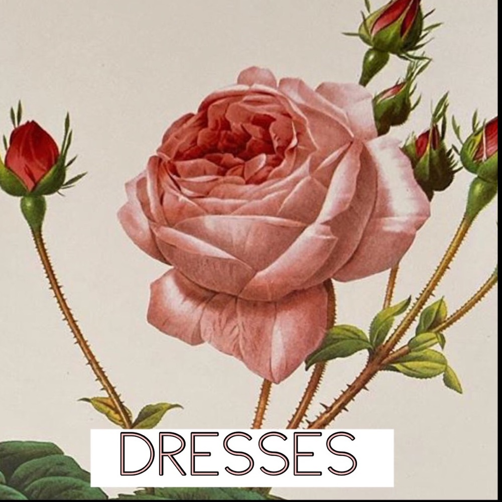 🌸Dresses🌸
